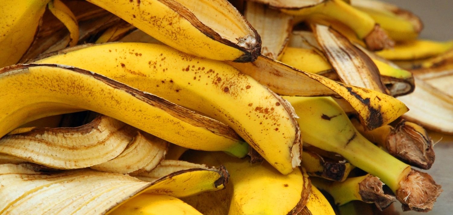 Farinha de casca de banana pode virar cookie saudável e nutritivo