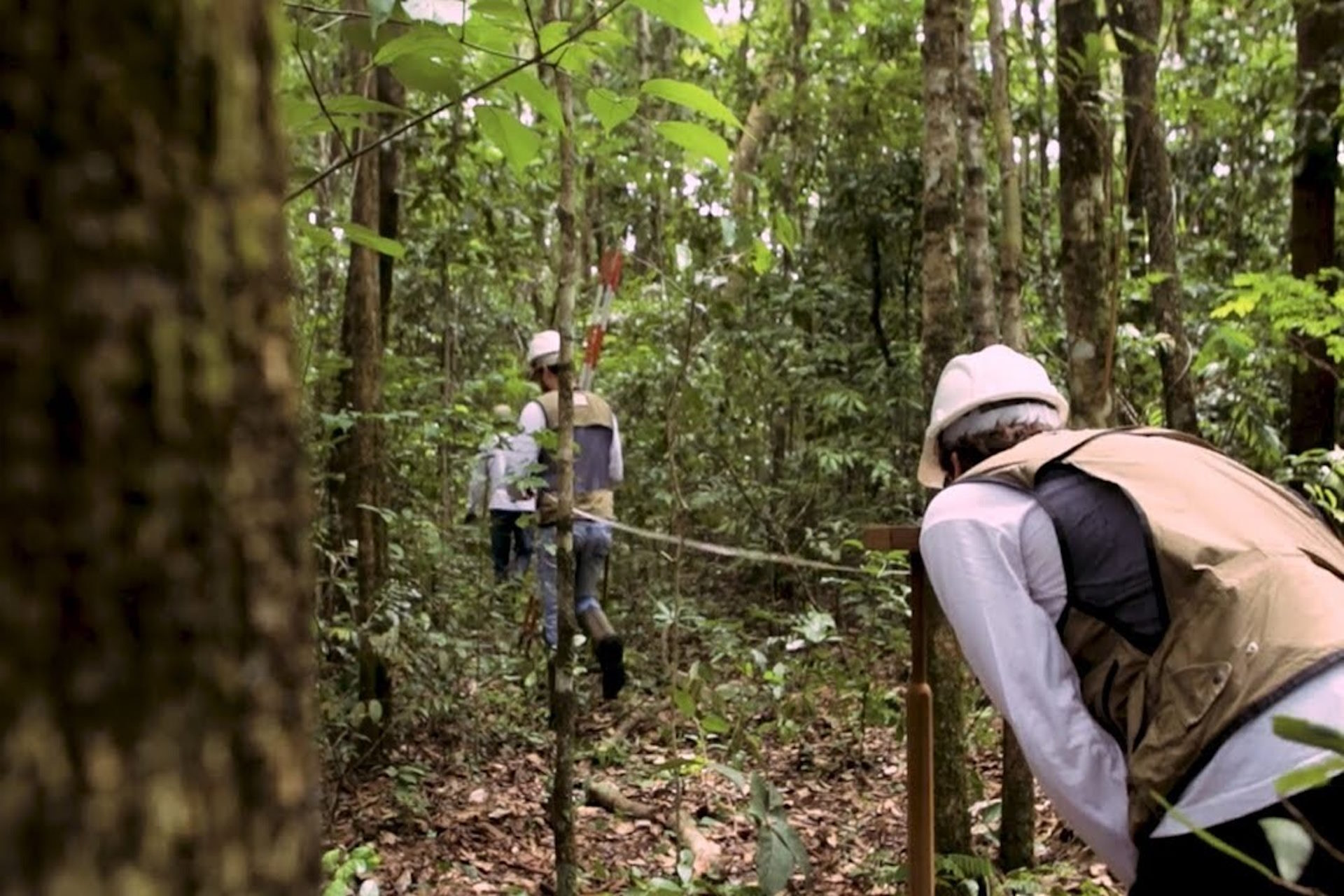 Florestas de todos – ((o))eco