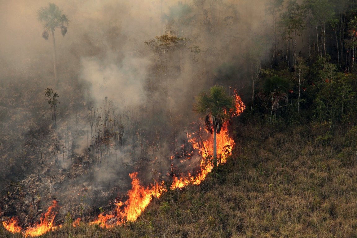 Fogo queimou 68% da vegetação nativa do país em 38 anos, mostra MapBiomas