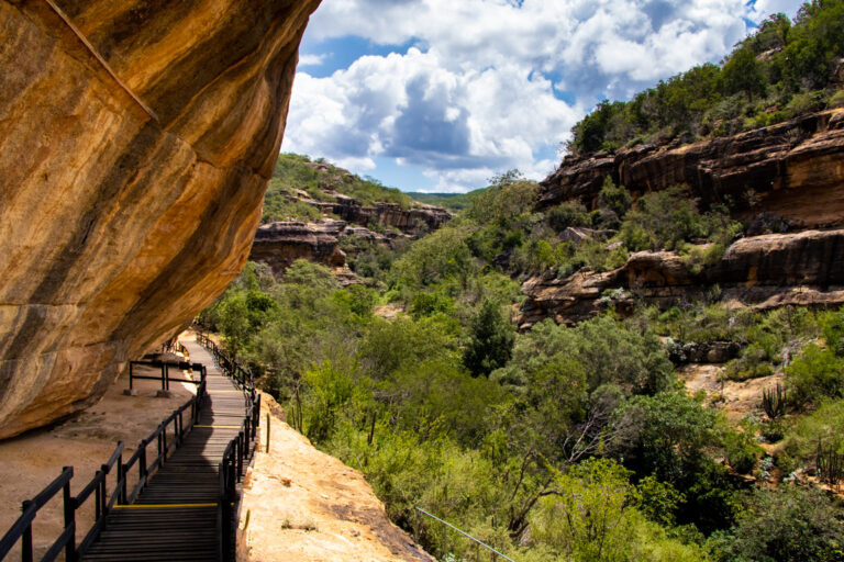 Gestão da Serra da Capivara rebate denúncia sobre abandono do parque: "fake news"