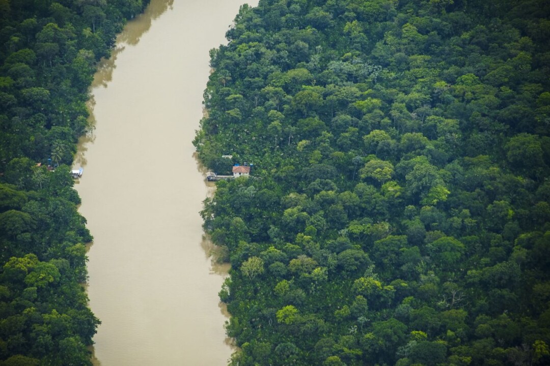 Lei que flexibiliza concessão de títulos fundiários vai legalizar grilagem na Amazônia Legal, alerta MPF