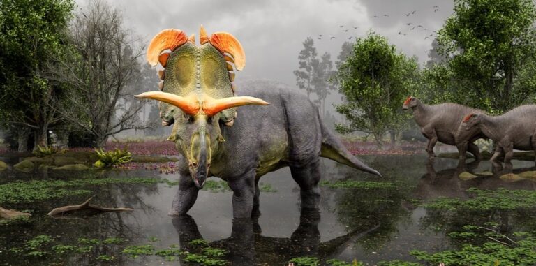 Lokiceratops: o gigante pré-histórico com um capacete colossal