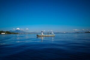 Mudanças climáticas: contribuições do Comitê Baía de Guanabara para a mitigação e adaptação na região hidrográfica
