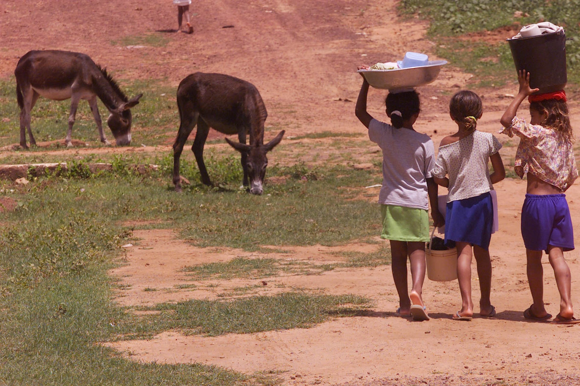 O trabalho infantil e a responsabilização do futuro do planeta às crianças