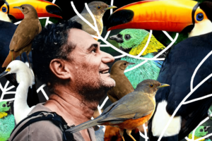 Observação de aves: encantamento, conservação e a história por trás do Avistar