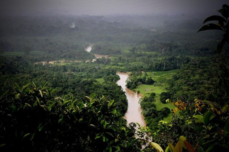 Parque Estadual Chandless, o paraíso da observação de aves no Acre