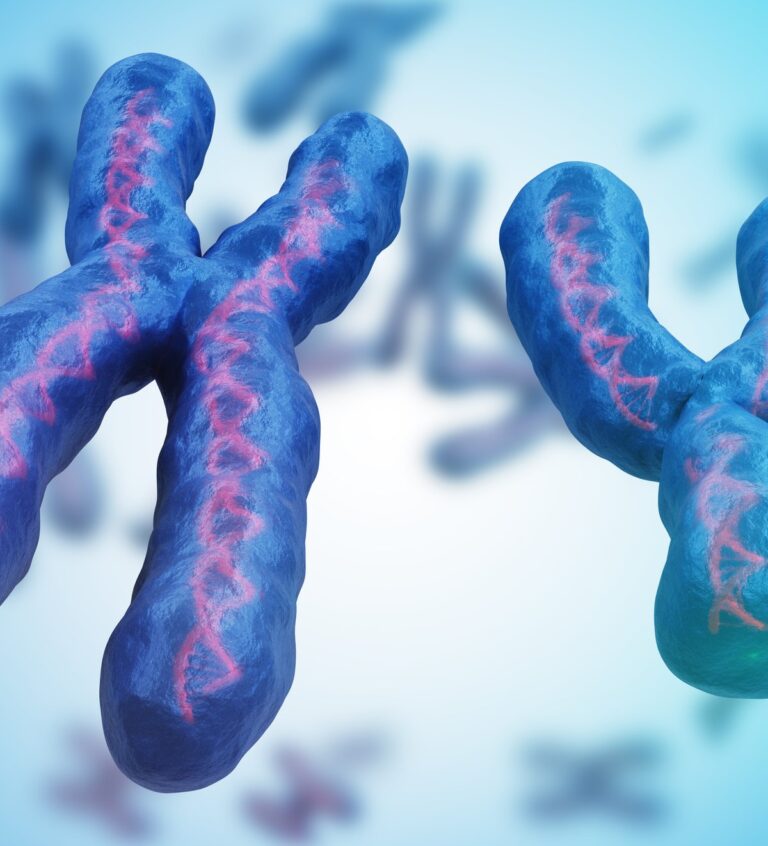 Por que o cromossomo Y humano estaria evoluindo mais rápido que o X?