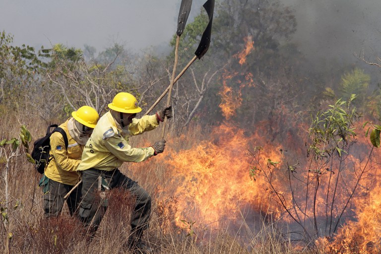 Apesar de menor registro de desmatamento, seca aumenta incêndios na Amazônia em 36%