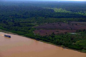 Após 14 meses de queda, desmatamento na Amazônia tem aumento de 10% em junho