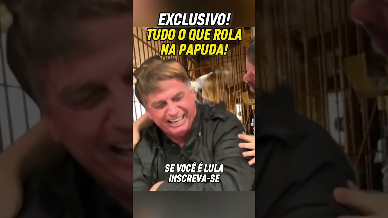 B0LS0NAR0 TERÁ MUlTA C0MPANHlA P0R AN0S!!