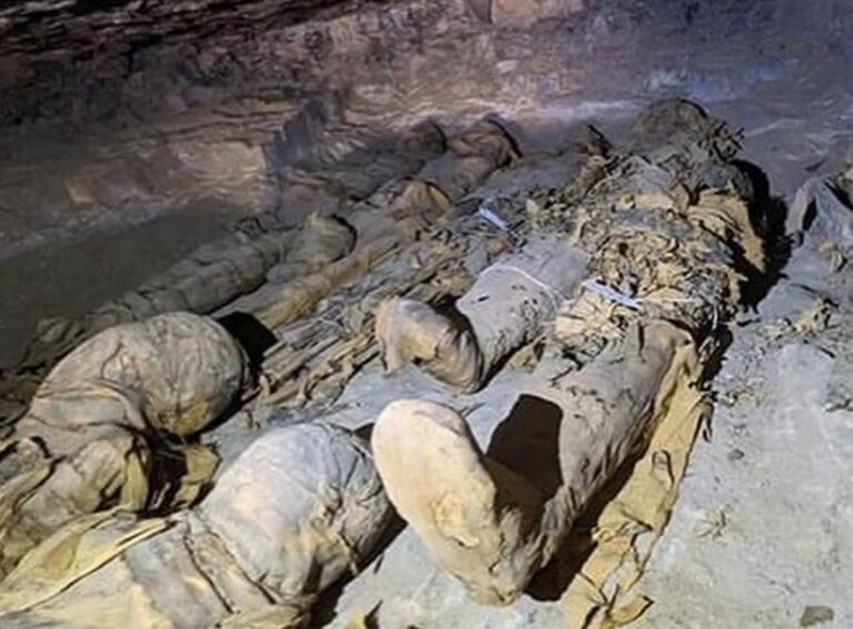 'Cidade dos Mortos': arqueólogos descobrem mais de 300 tumbas em Assuã, no Egito