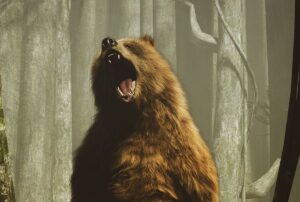 Comportamento animal: 6 flagras de bichos fazendo coisas que você nunca viu