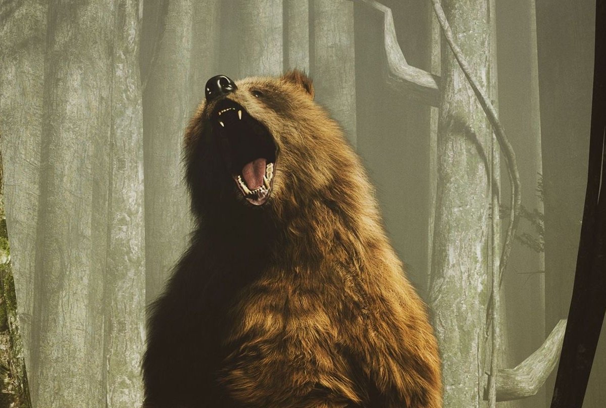 Comportamento animal: 6 flagras de bichos fazendo coisas que você nunca viu