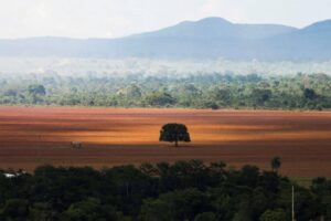 Cumprimento do Código Florestal evitaria perda de 32 milhões de hectares até 2050