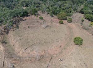 Dois geoglifos são encontrados na Reserva Chico Mendes, no Acre