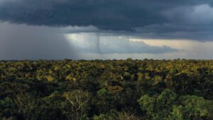 Efeitos do La Niña na Amazônia devem iniciar em setembro e permanecer até meados de 2025, segundo meteorologista 