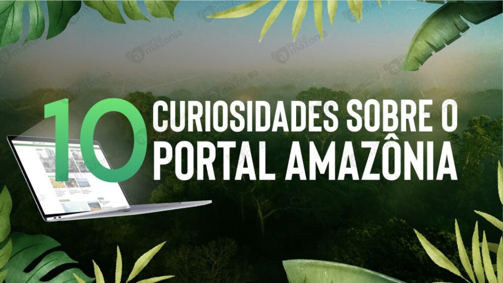Especial: 10 curiosidades sobre o Portal Amazônia