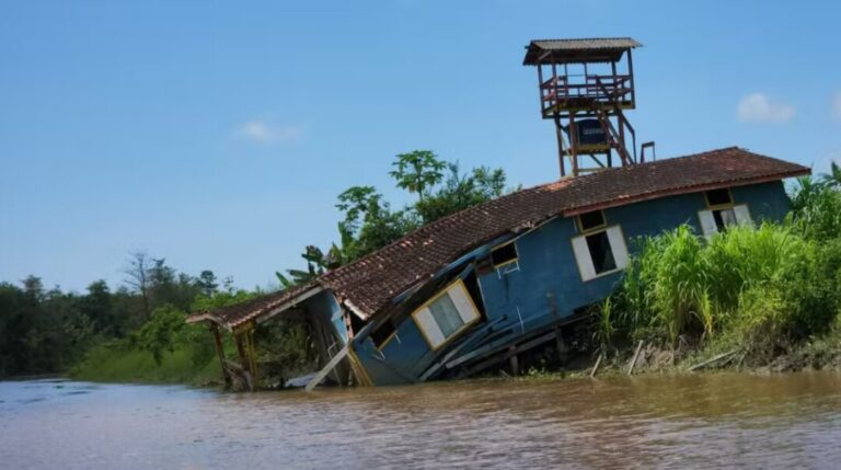 Fenômeno das 'Terras caídas': erosão avança e ribeirinhos abandonam casas no litoral do Amapá