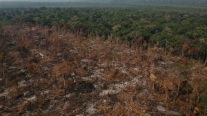 Fraude em mercado de carbono grilou 500 mil hectares de terras no sul do Amazonas