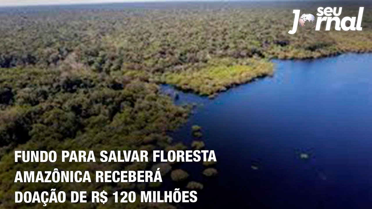 Fundo para salvar floresta amazônica receberá doação de R$ 120 milhões