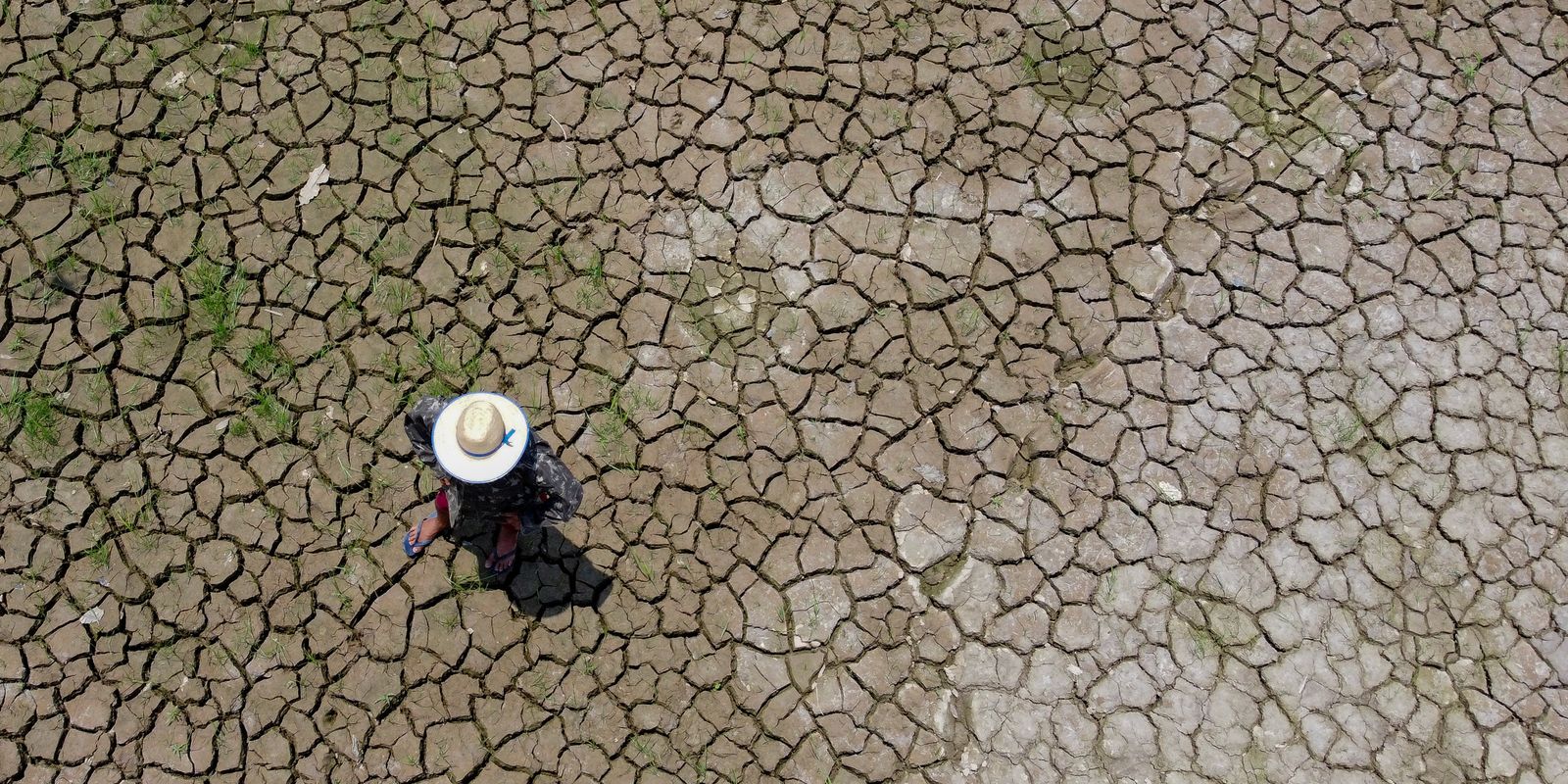 Mudanças climáticas já interferem em secas e cheias na Amazônia