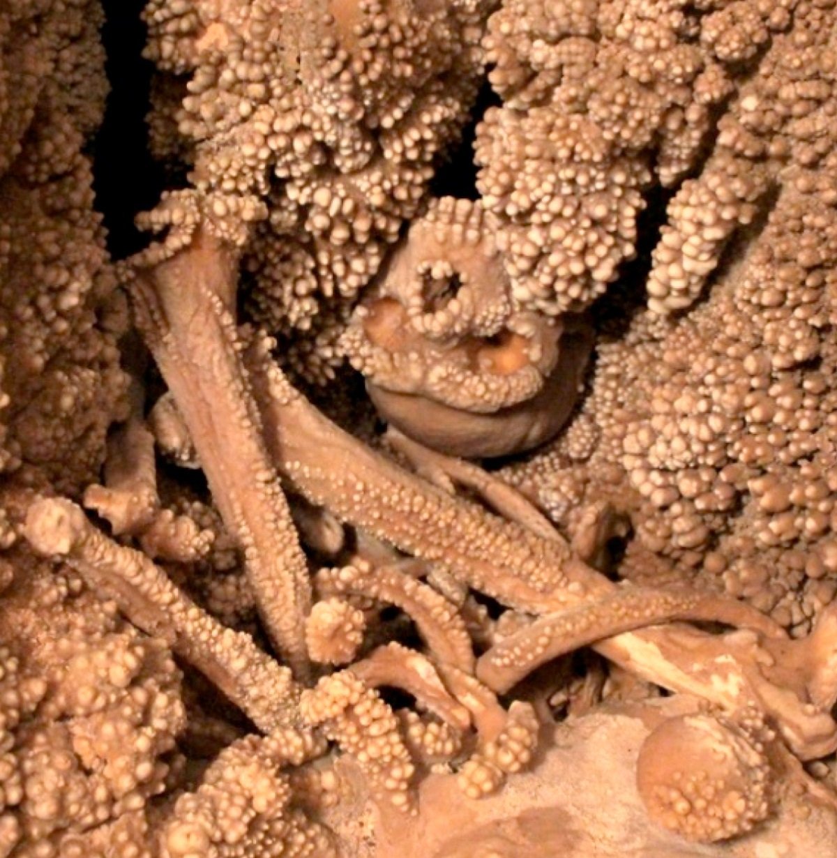 O enigma de Altamura: revelando os segredos do neandertal preso na caverna