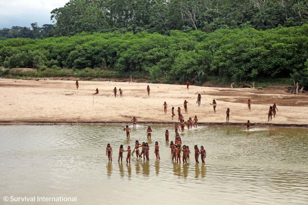 ONG divulga vídeo raro de comunidade indígena isolada na Amazônia; confira as imagens