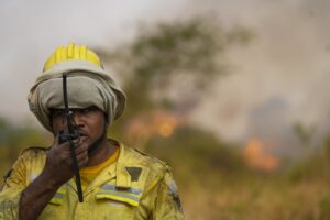 Pantanal entra em alerta de risco extremo de fogo nos próximos dias