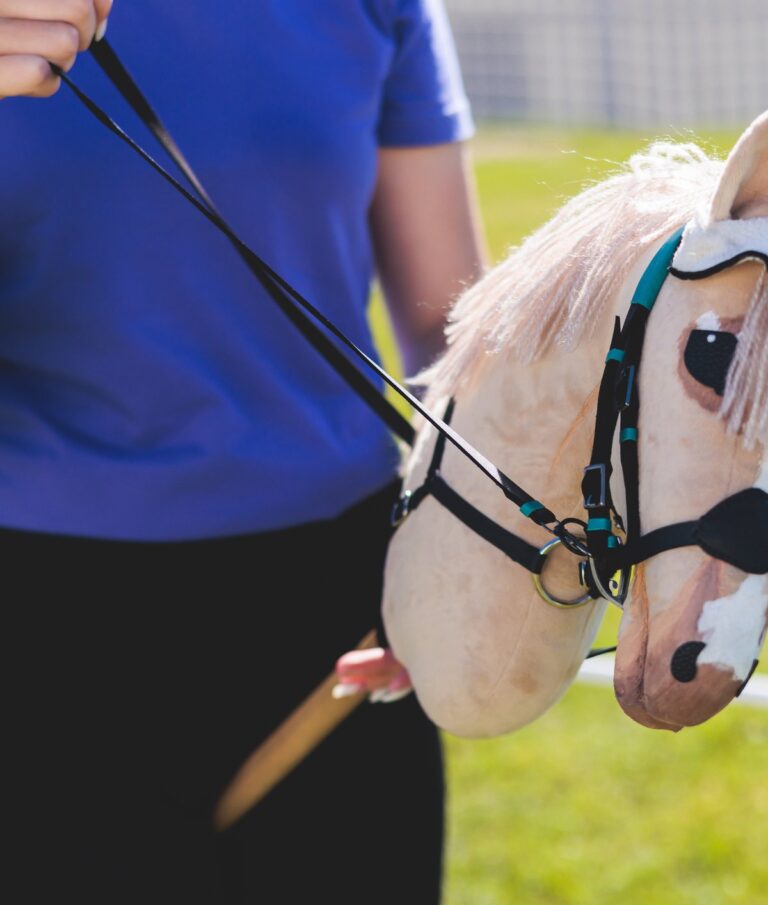 Você já ouviu falar na competição de cavalos de pau?