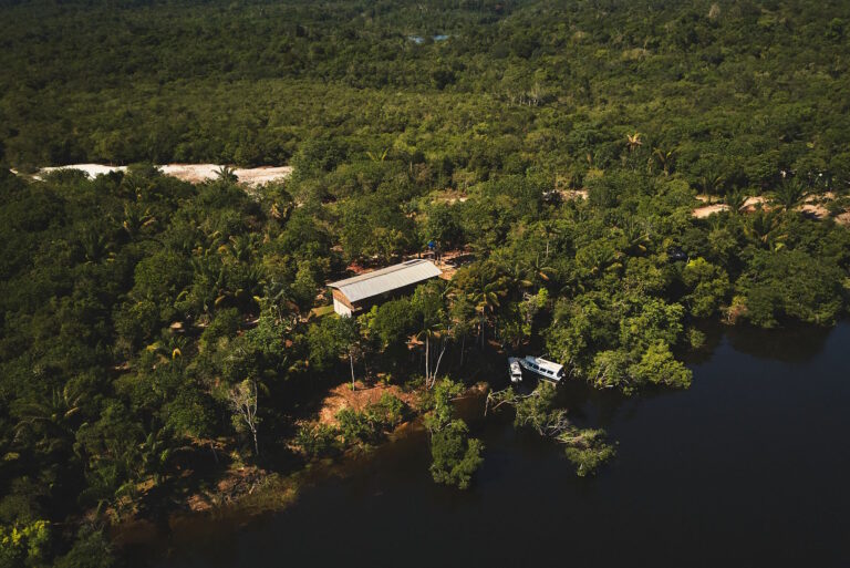 A floresta é muito mais que o verde da mata