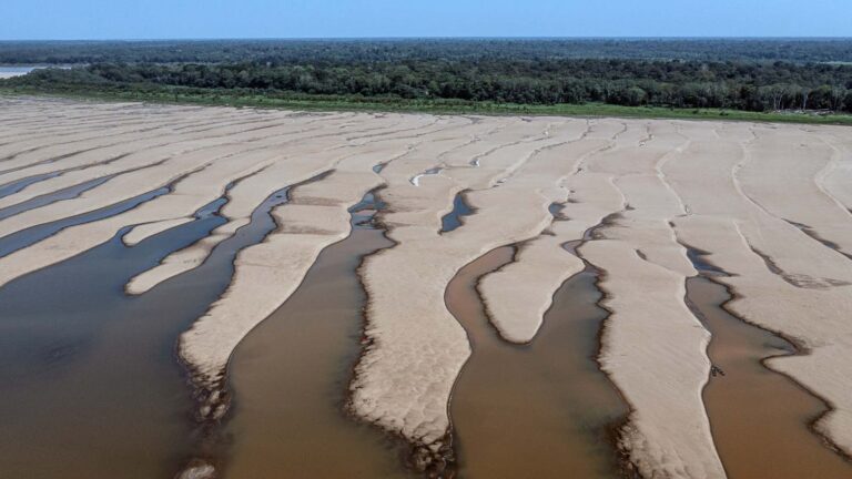 Como o WhatsApp ajuda a monitorar a crise climática na Amazônia