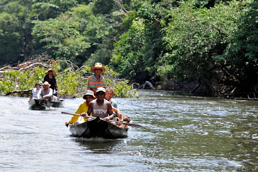 Conheça a floresta Estadual do Amapá