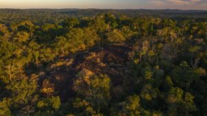 Decisão da justiça de Mato Grosso em anular criação de parque pode agravar crise climática, alerta carta na 'Science'