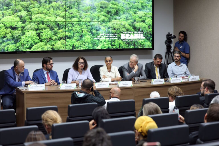 Deter: Alertas de desmatamento caem 46% na Amazônia