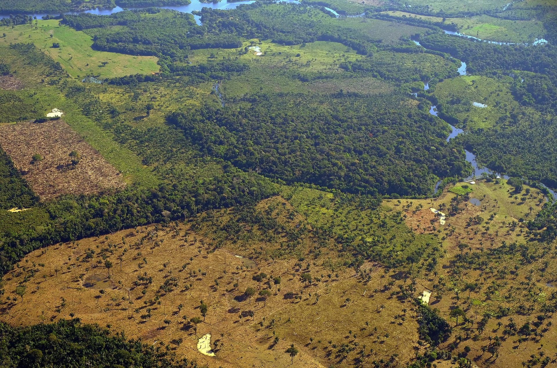 Em duas décadas, vegetação nativa perdida no Brasil tem quatro vezes a extensão de Portugal