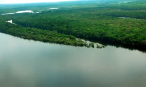 Ministerio meio ambiente discutem ações para Amazônia legal