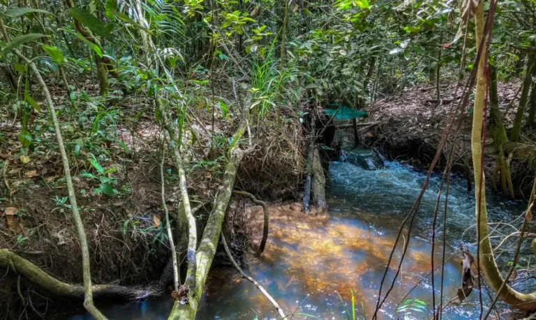 clima deve comprometer viabilidade das terras agrícolas 1