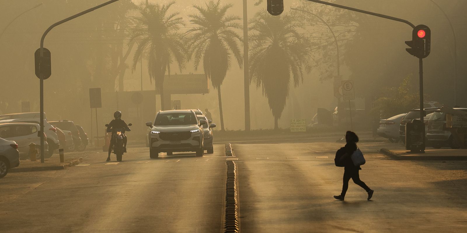 Ato em SP conclama para medidas de mitigação da emergência climática