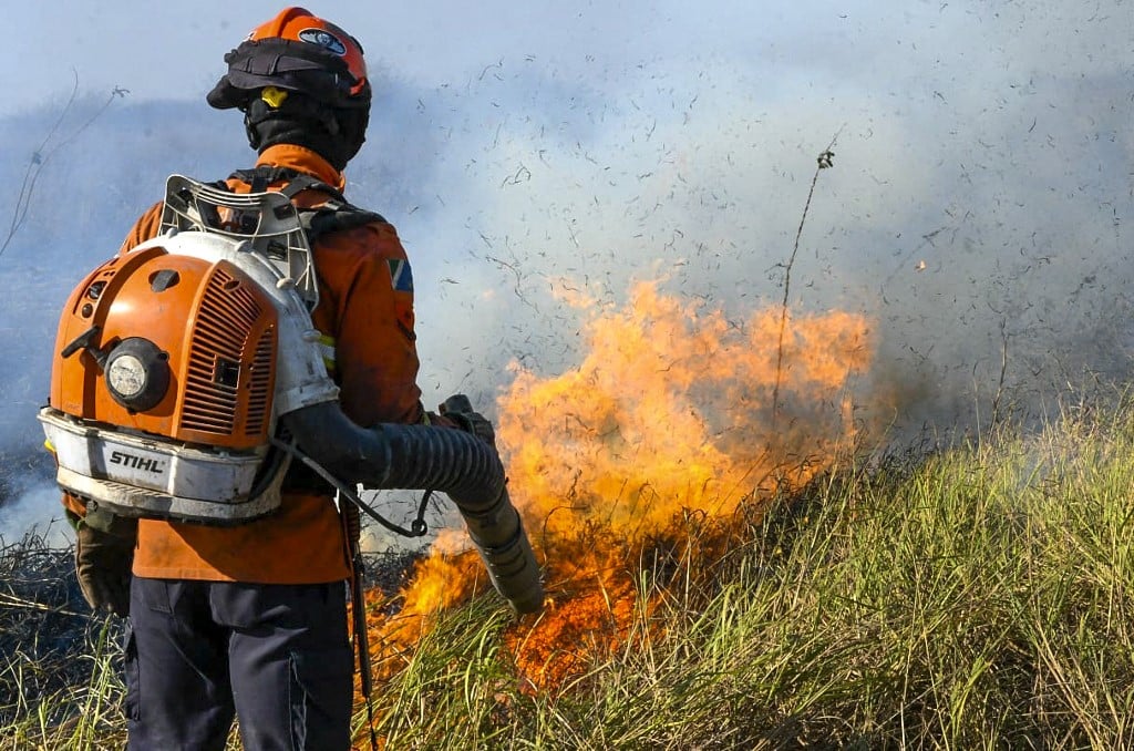 Brasil tem quase 4 mil focos de incêndios, aponta Inpe – CartaExpressa – CartaCapital