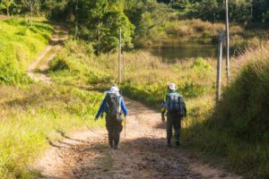 Caminho da Mata Atlântica: uma jornada pelo Planalto Paulista