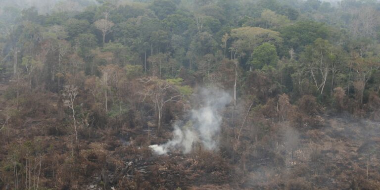 Delegado da PF diz que há indícios de ação coordenada em incêndios