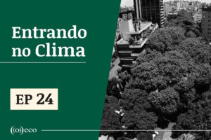 Entrando no Clima #24 - Eleições e a pauta ambiental