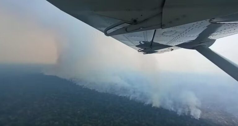 Estação ecológica sofre com incêndios há 2 meses em RO