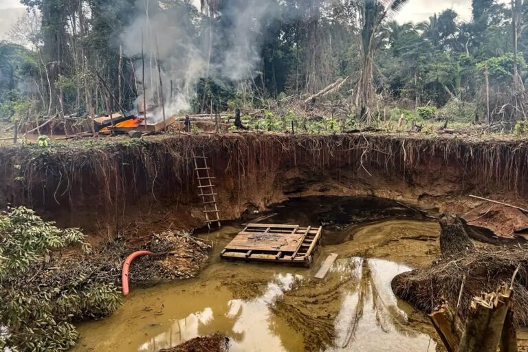 Garimpo destruiu mais de 13 mil hectares em Unidades de Conservação na Amazônia