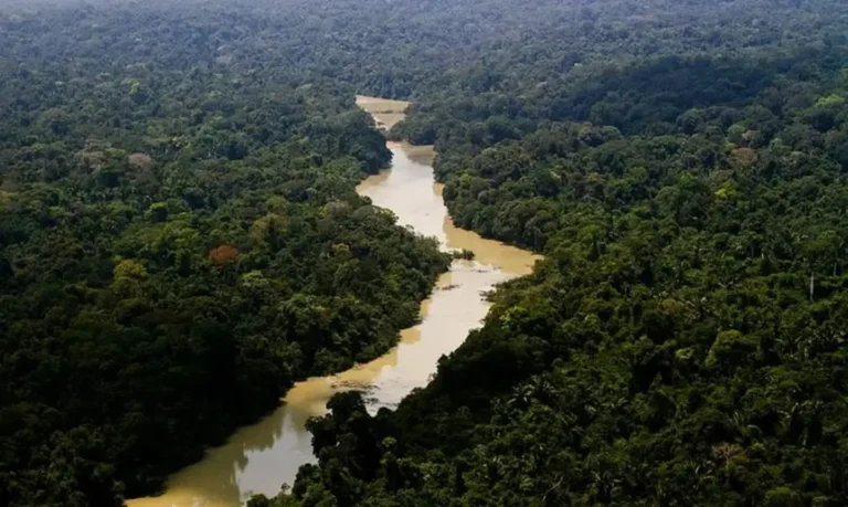 Governo entra com 1ª ação por danos climáticos contra Amazônia