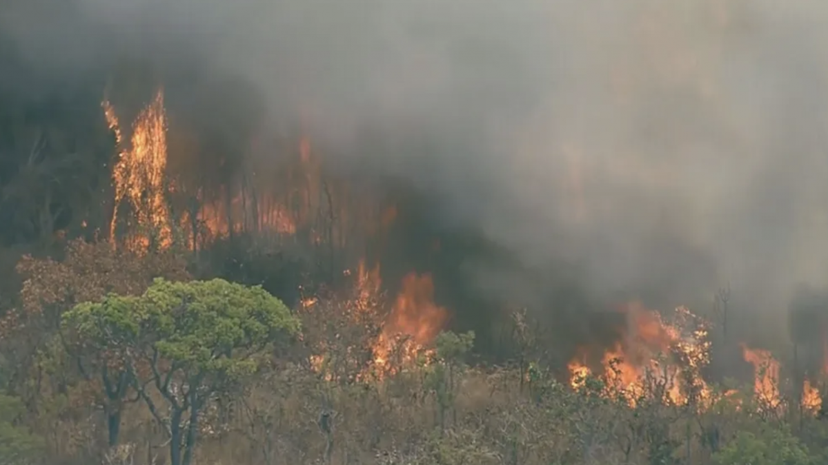 Incêndio de grandes proporções atinge Parque Nacional de Brasília – CartaExpressa – CartaCapital