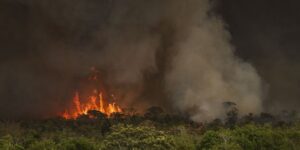 Incêndios podem ter afetado mais de 11 milhões de pessoas no Brasil