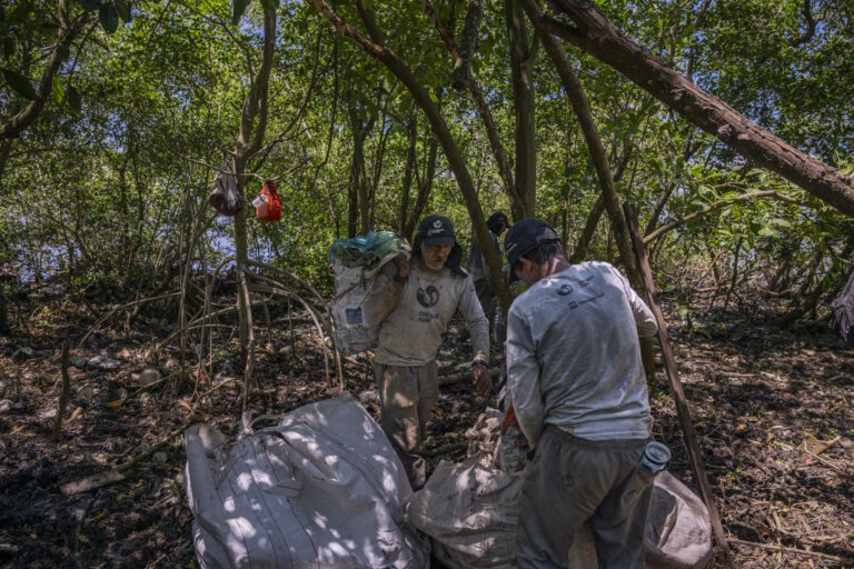 Manguezais da Baía de Sepetiba passarão por ação de limpeza