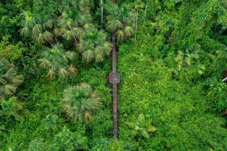 Mato Grosso ganha nova área protegida com criação da RPPN Fazenda Anacã