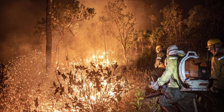 Monitoramento mostra que 99% dos incêndios são por ação humana